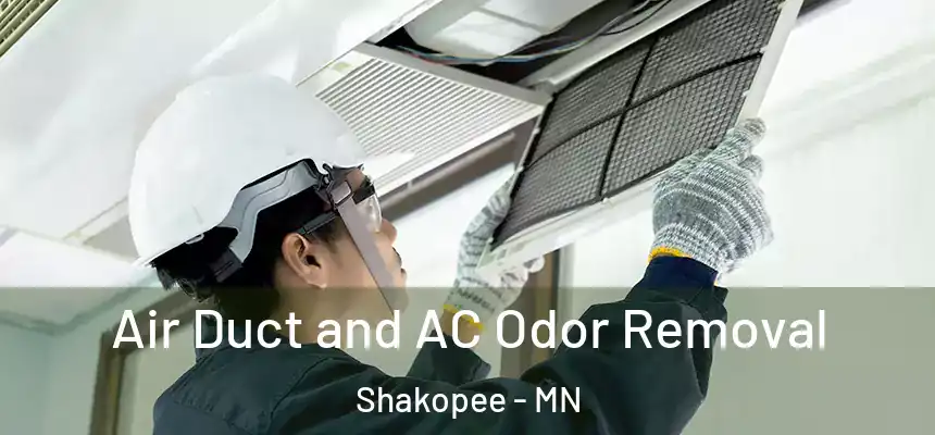Air Duct and AC Odor Removal Shakopee - MN