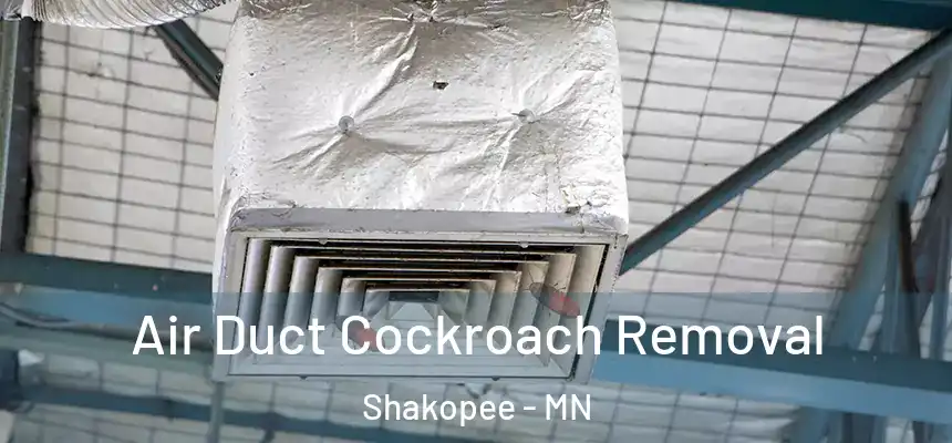  Air Duct Cockroach Removal Shakopee - MN