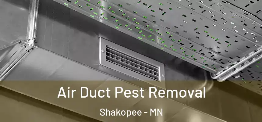  Air Duct Pest Removal Shakopee - MN