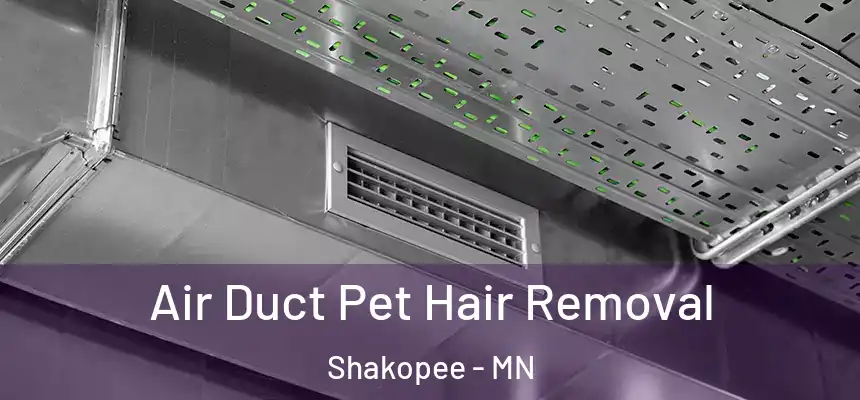 Air Duct Pet Hair Removal Shakopee - MN