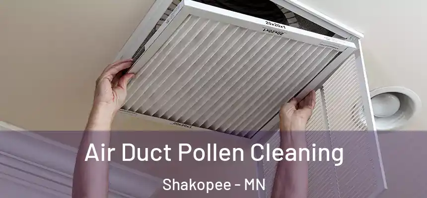 Air Duct Pollen Cleaning Shakopee - MN