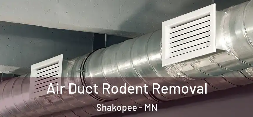 Air Duct Rodent Removal Shakopee - MN