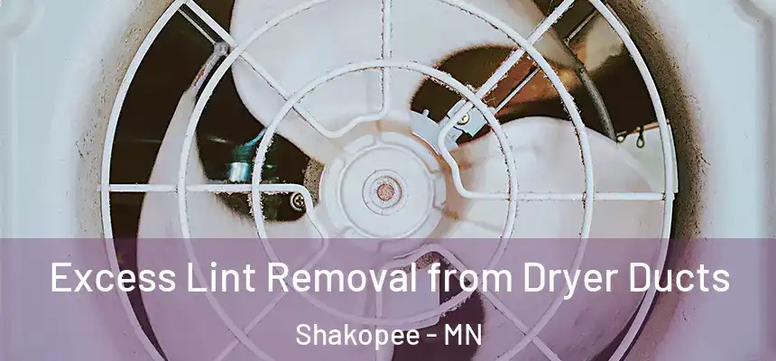  Excess Lint Removal from Dryer Ducts Shakopee - MN