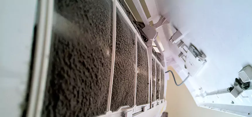 Preventive Air Duct Bacteria Removal in Shakopee