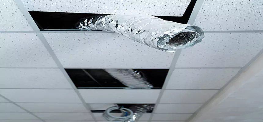 Our Air Duct Pet Hair Removal Services in Shakopee, MN