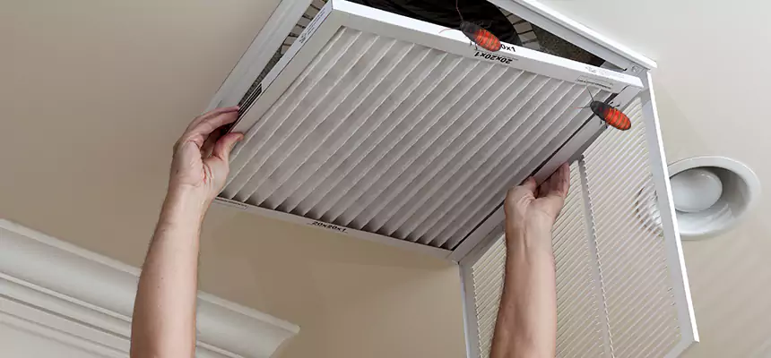 Our Insect Removal from Air Ducts Services in Shakopee, MN