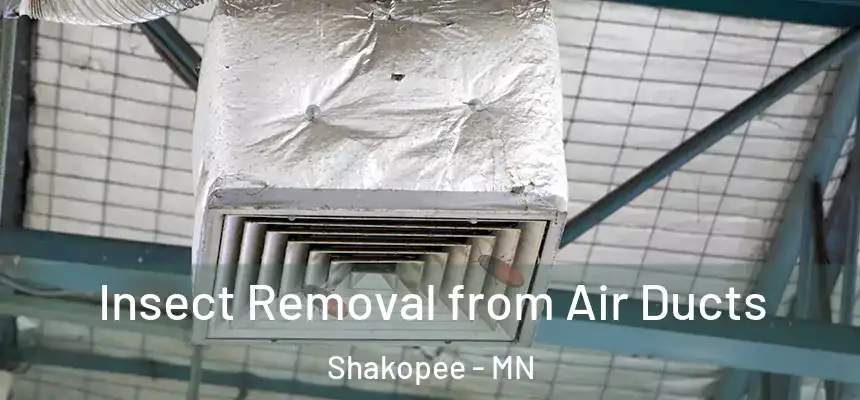  Insect Removal from Air Ducts Shakopee - MN