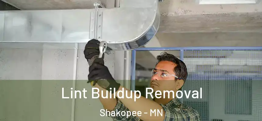  Lint Buildup Removal Shakopee - MN