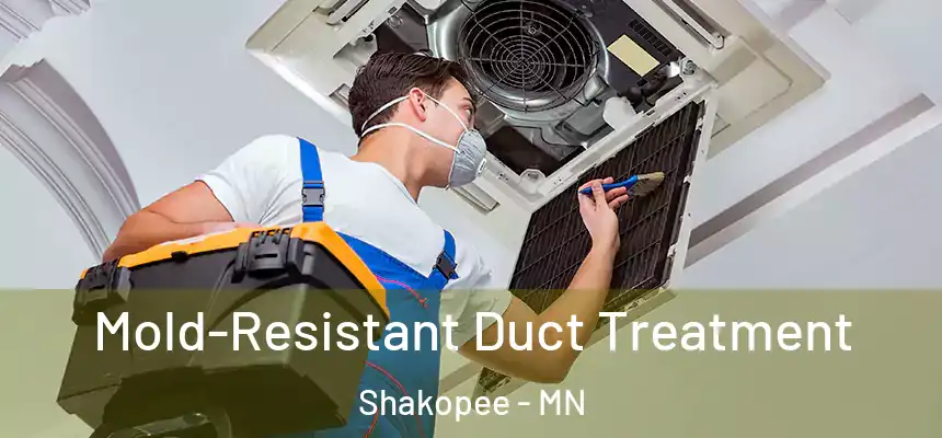  Mold-Resistant Duct Treatment Shakopee - MN