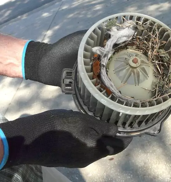 About Air Duct Mice Removal in Shakopee, MN