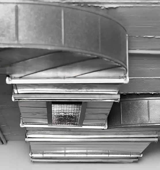 Professional Air Duct Pet Hair Removal in Shakopee, MN