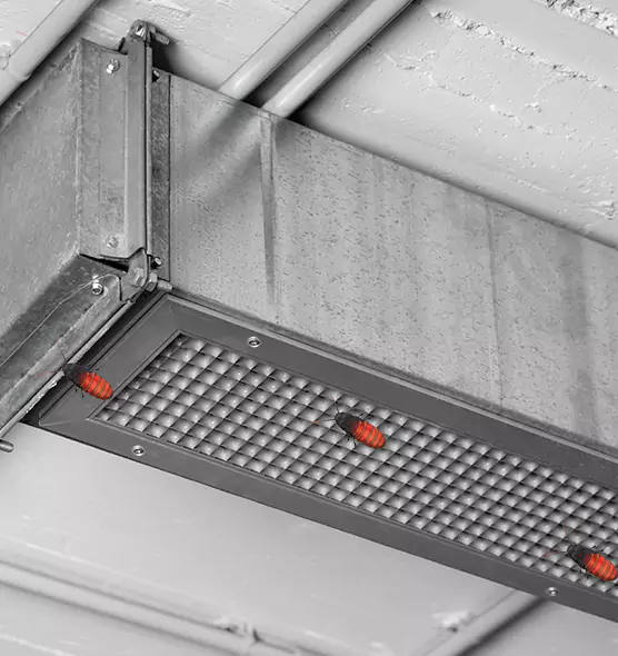 Affordable Insect Removal from Air Ducts in Shakopee, MN