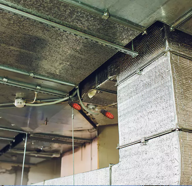 Why Homeowners & Businesses Trust Us in Shakopee, MN?