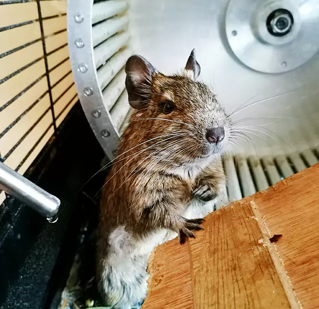 Why Homeowners & Businesses Trust Us Shakopee, MN?