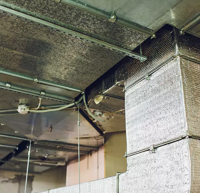 Why Homeowners & Businesses Trust Us in Shakopee, MN?